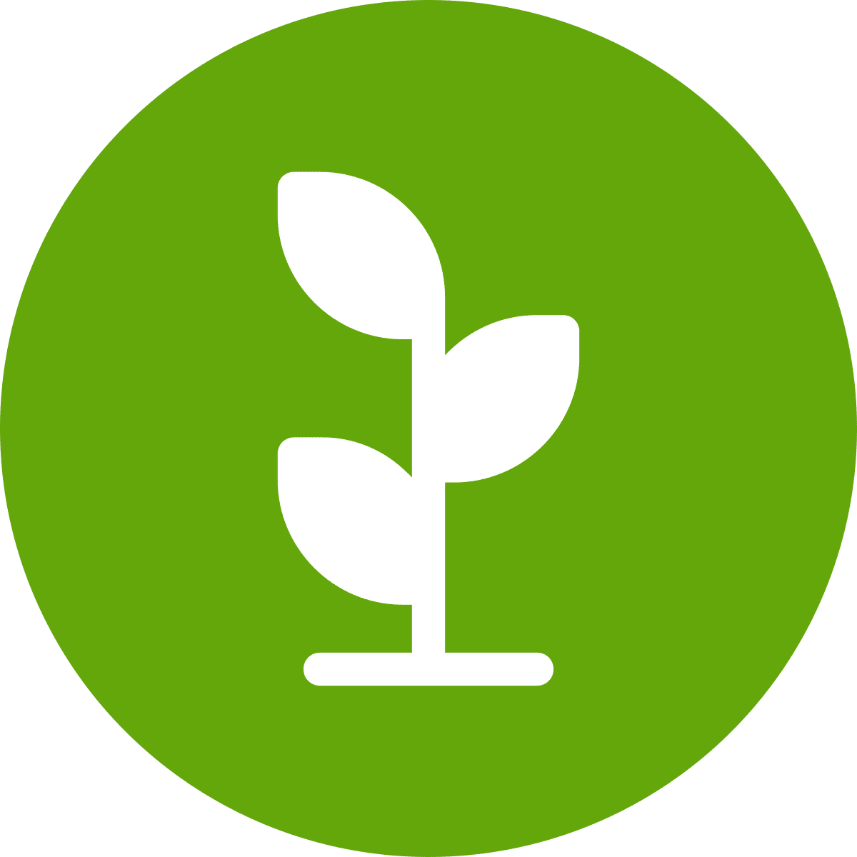 noun-grow-1608473-FFFFFF growth plant